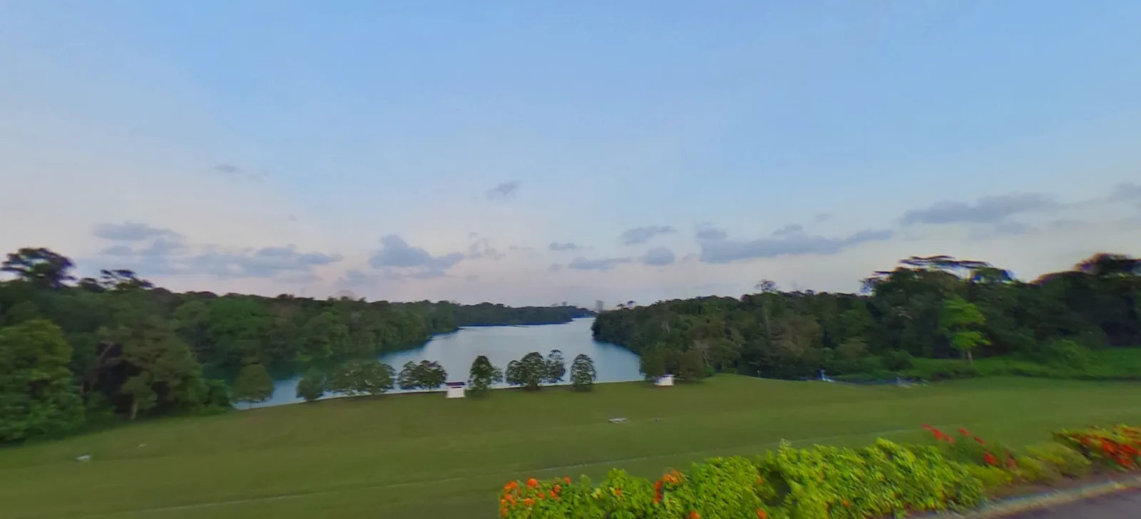 Around the area at Upper Peirce Reservoir Park Singapore — travel photo