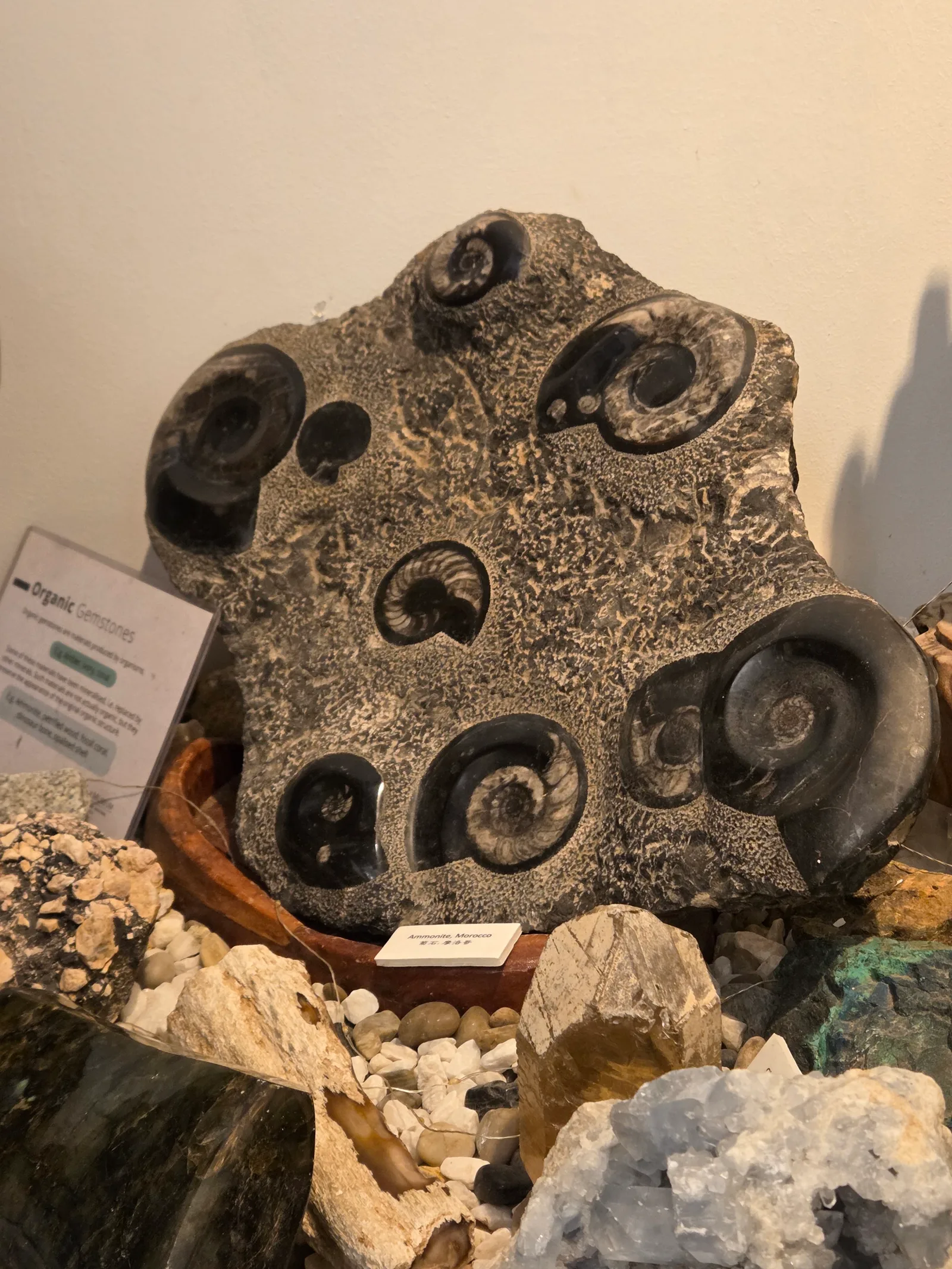The Gem Museum