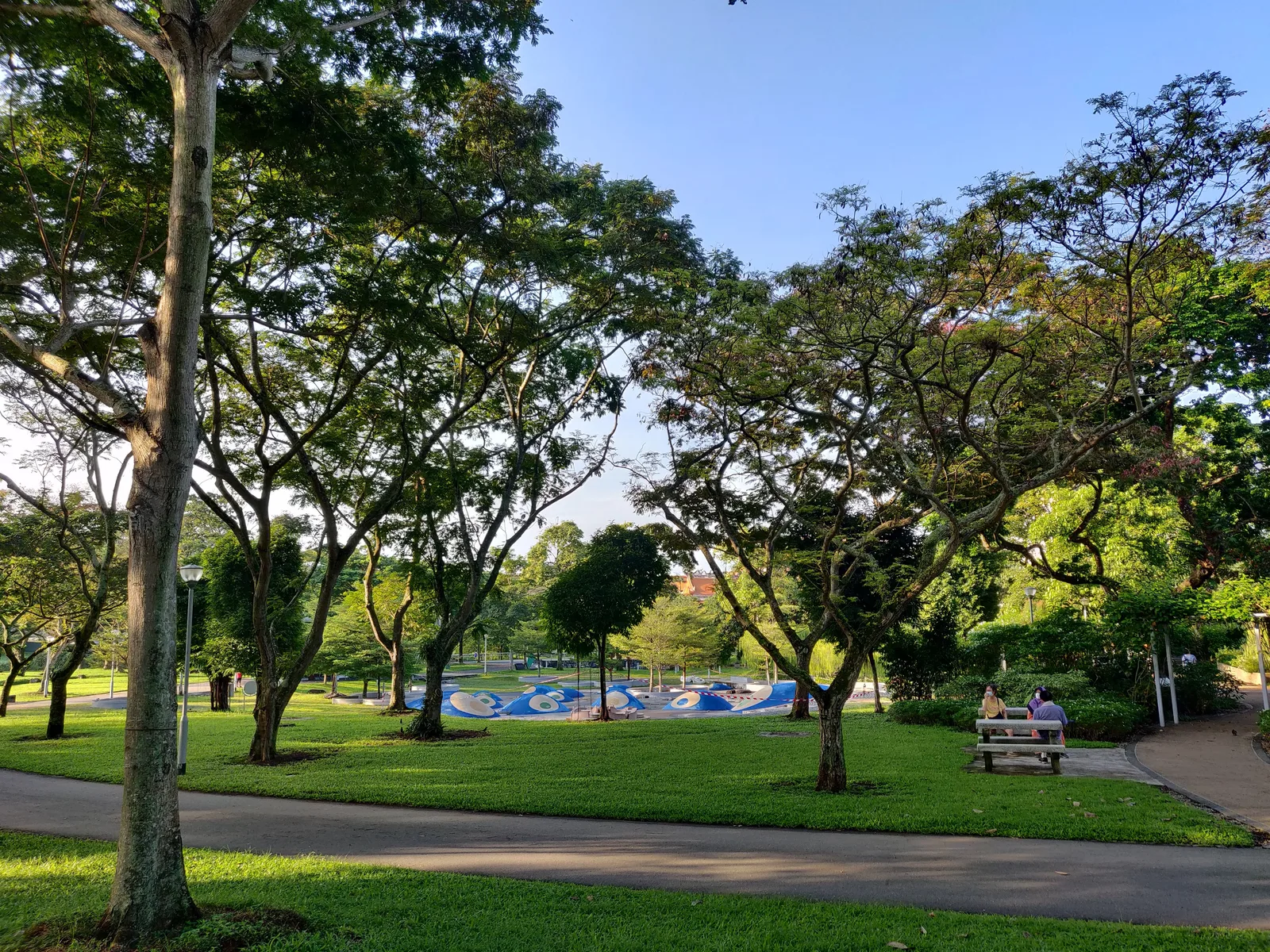 Details at Bishan-Ang Mo Kio Park Singapore — travel photo
