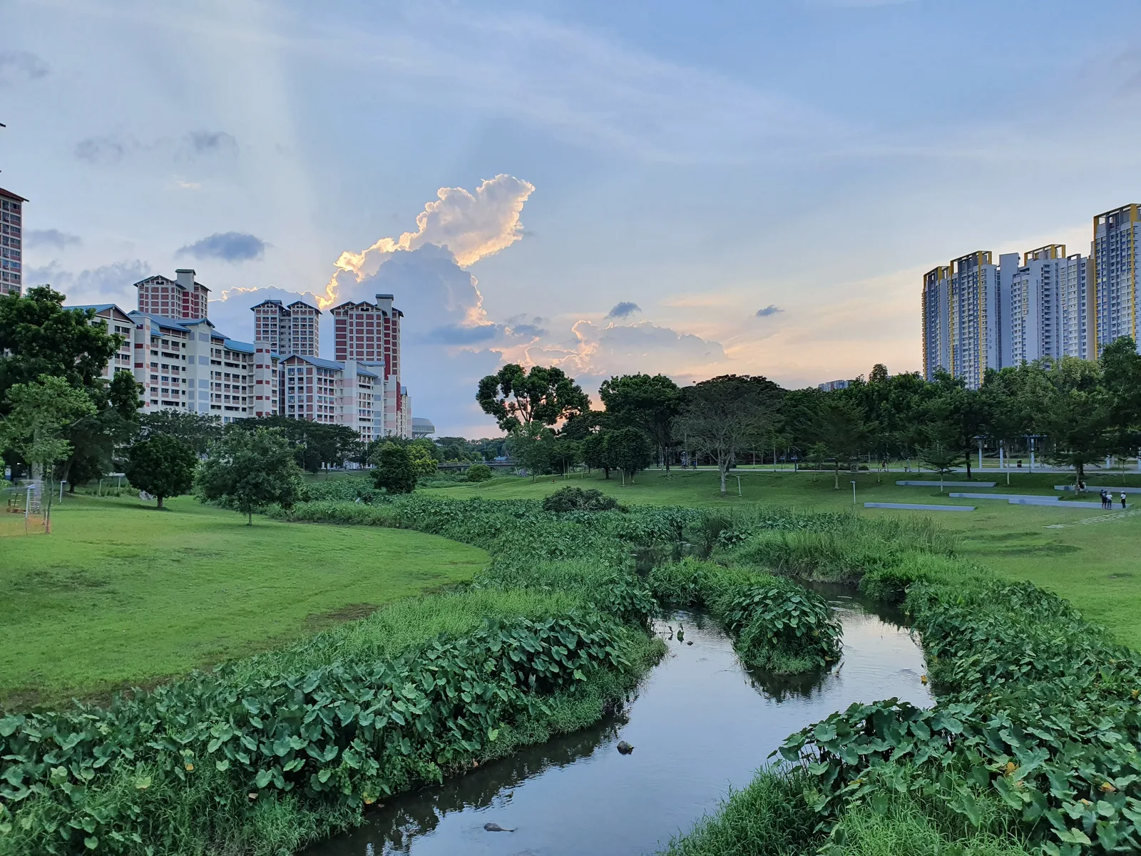 Bishan-Ang Mo Kio Park