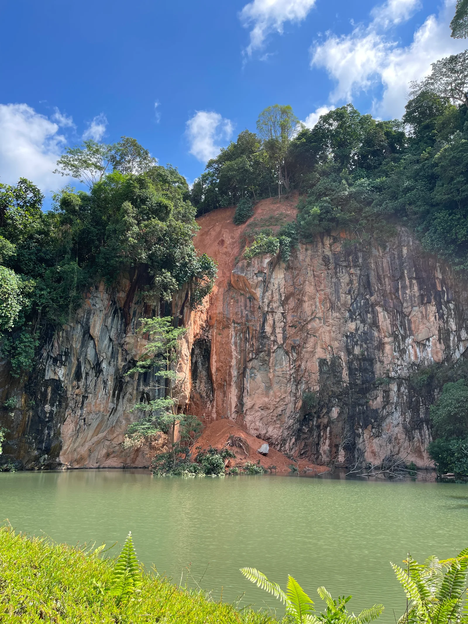 Bukit Batok Nature Park — budget guide Singapore