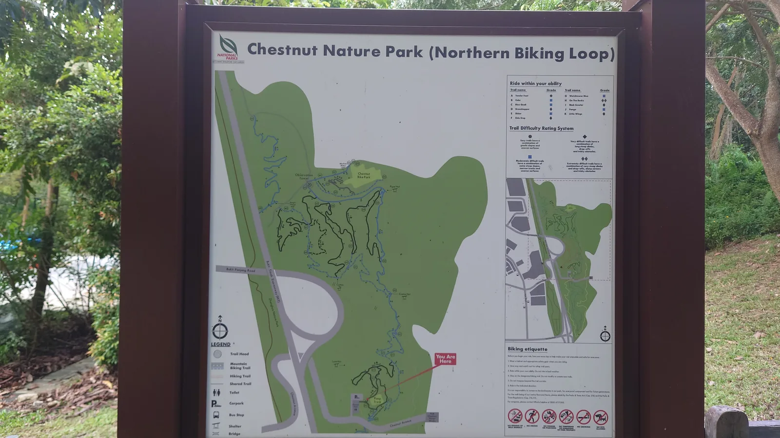 Main view at Chestnut Nature Park Singapore — travel photo