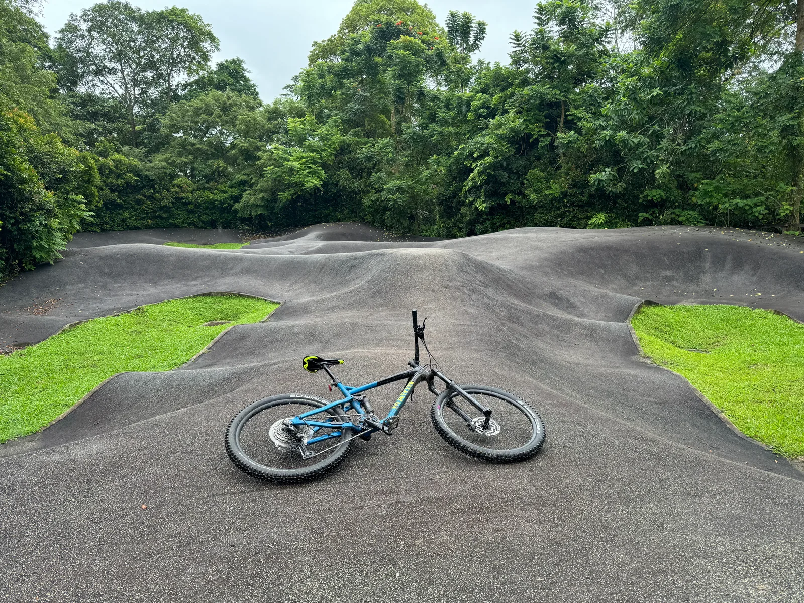 Interior at Chestnut Nature Park Singapore — travel photo