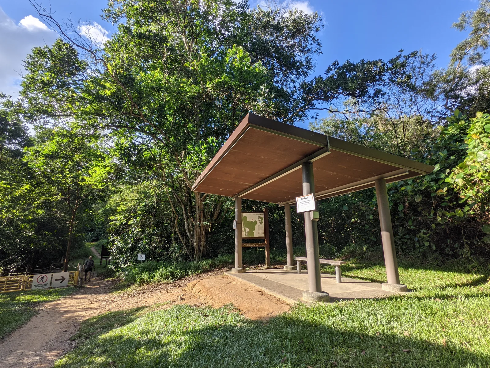Details at Chestnut Nature Park Singapore — travel photo