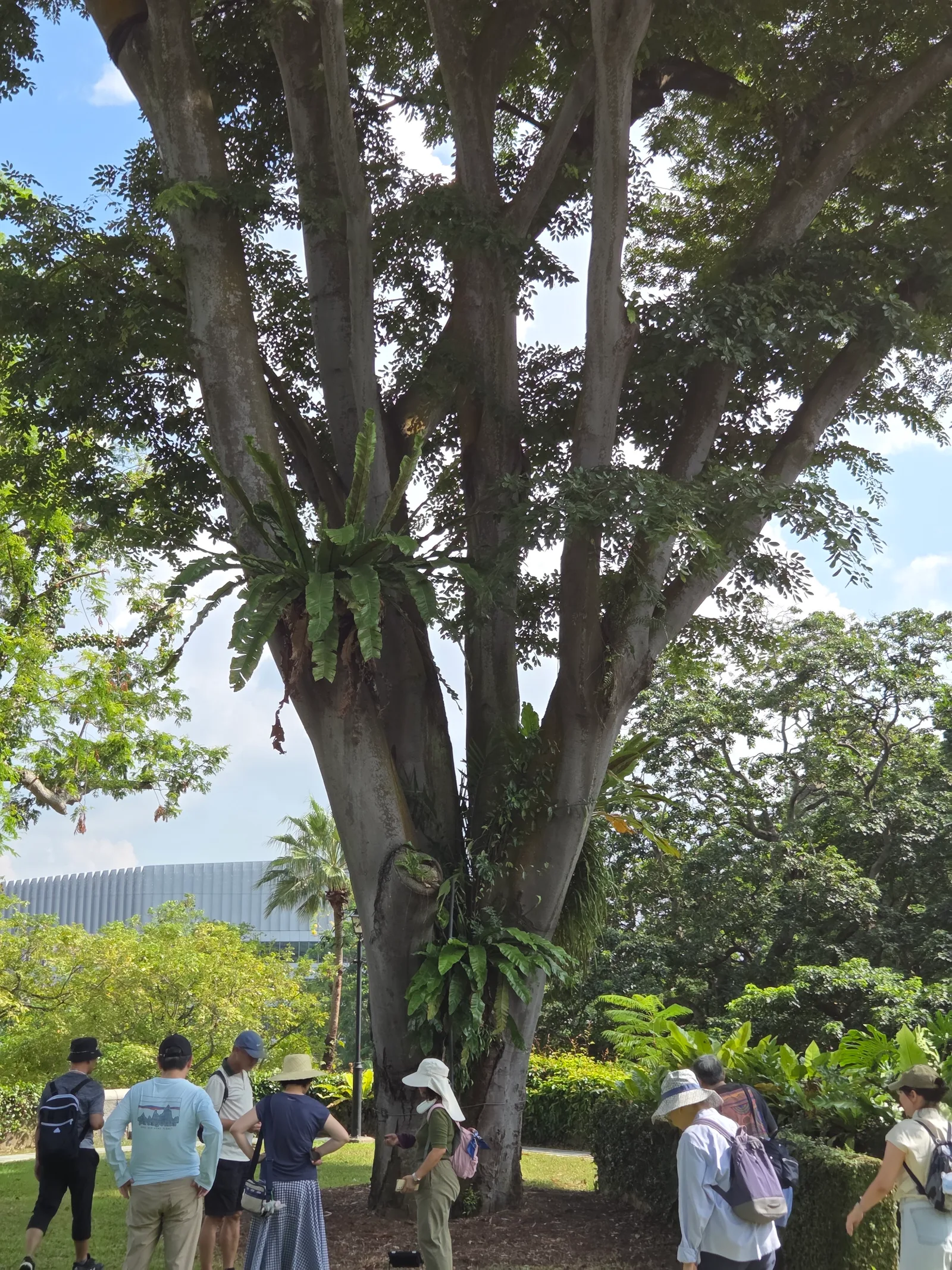 Main view at Fort Canning Heritage Gallery Singapore — travel photo