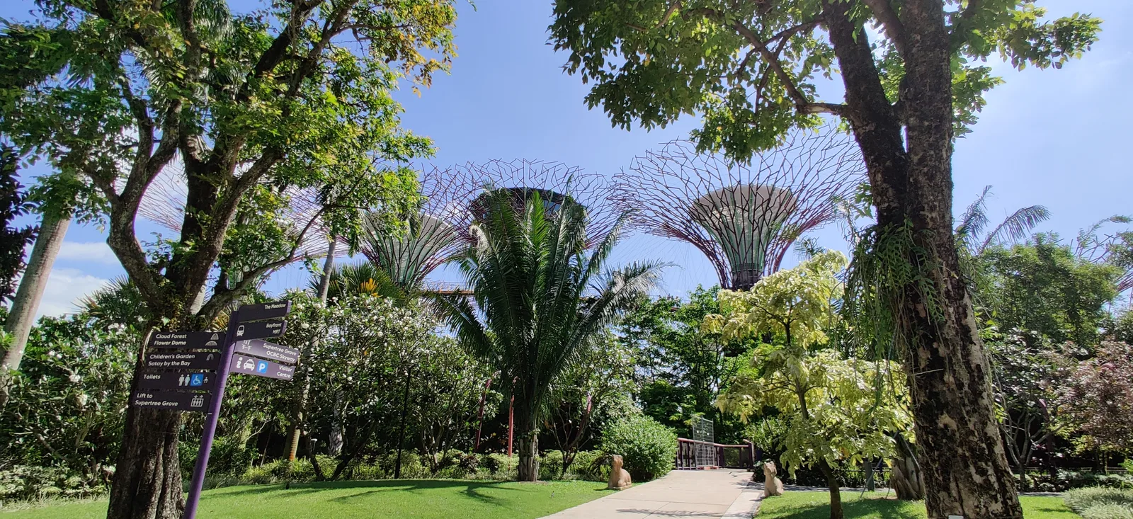 Interior at Gardens by the Bay Singapore — travel photo