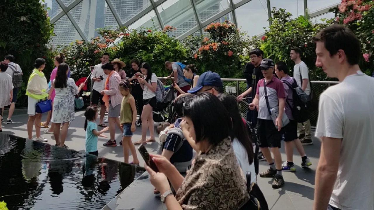 Details at Gardens by the Bay Singapore — travel photo