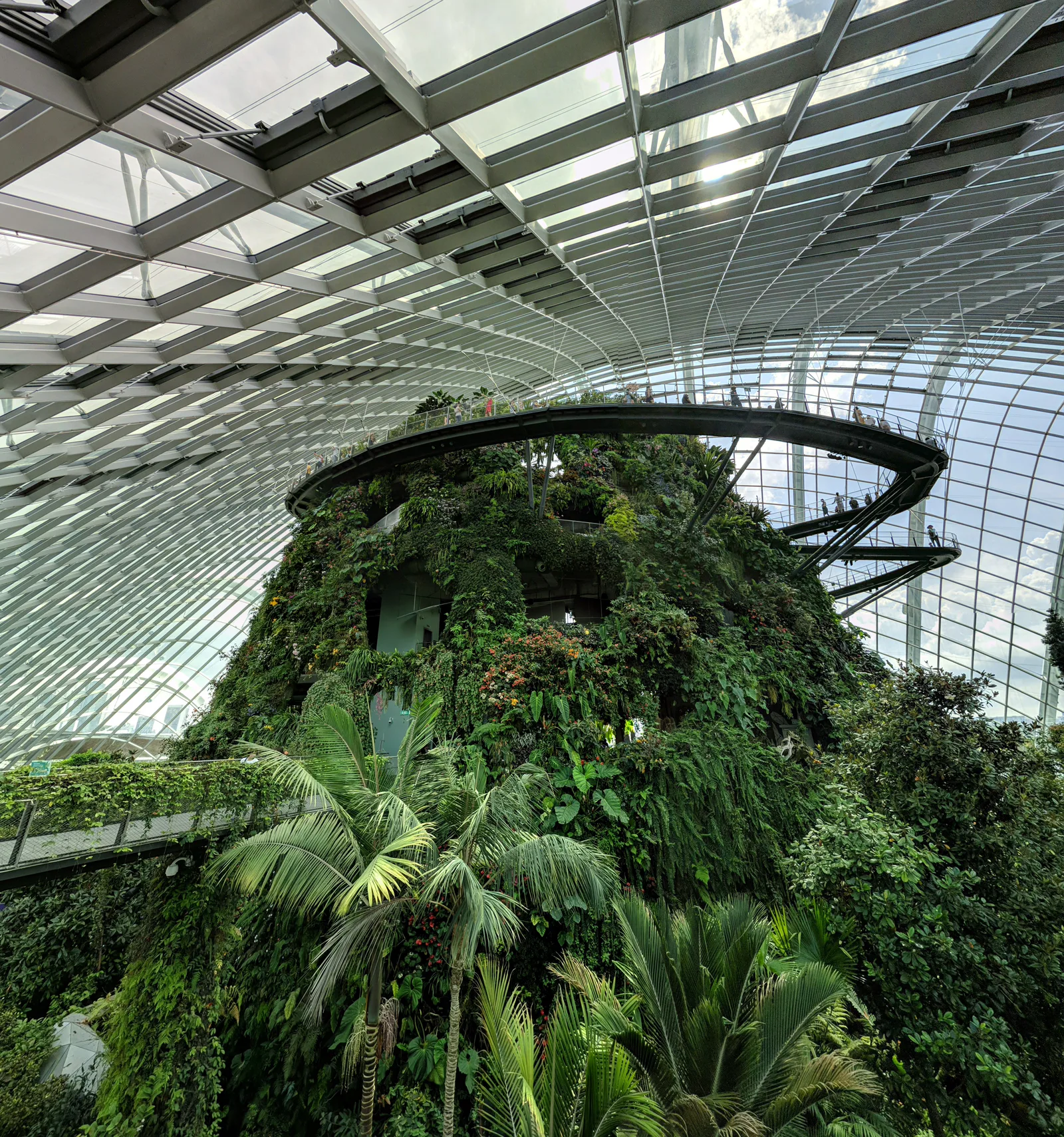 Atmosphere at Gardens by the Bay Singapore — travel photo