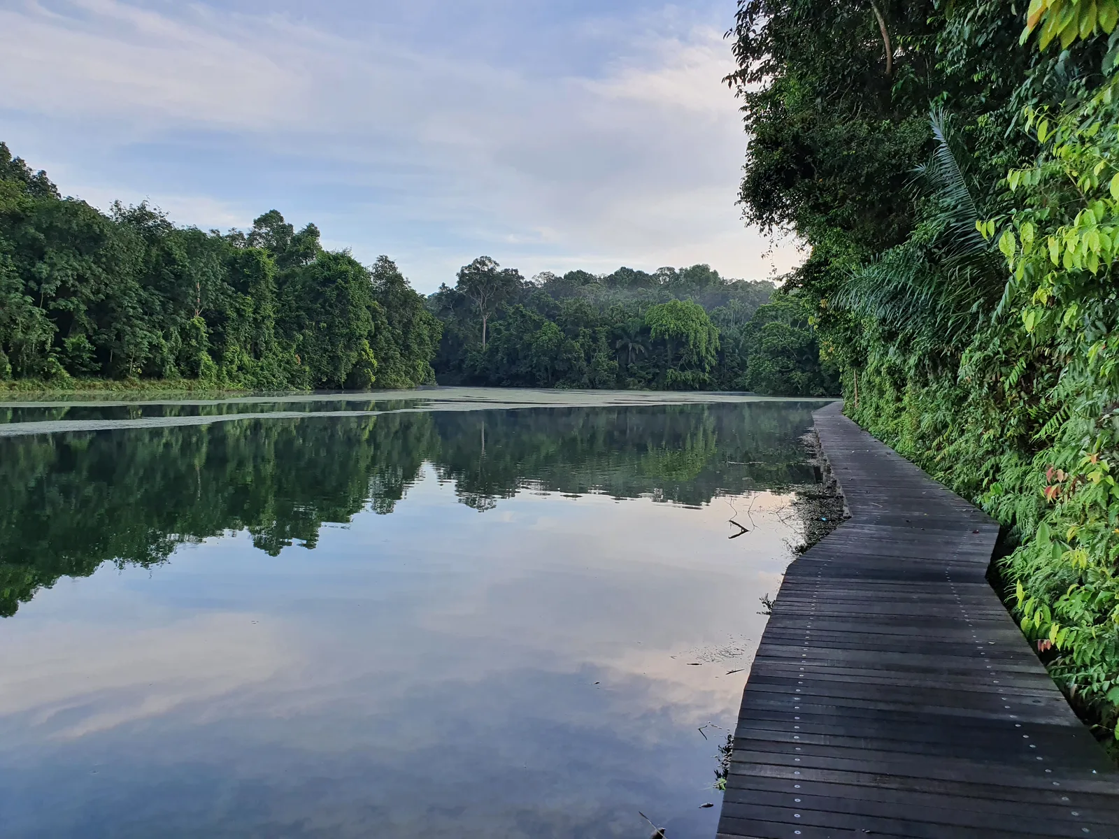 Lower Peirce Reservoir Park