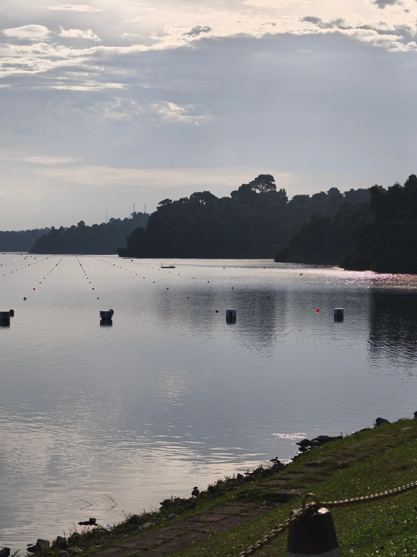 Main view at MacRitchie Reservoir Park Singapore — travel photo