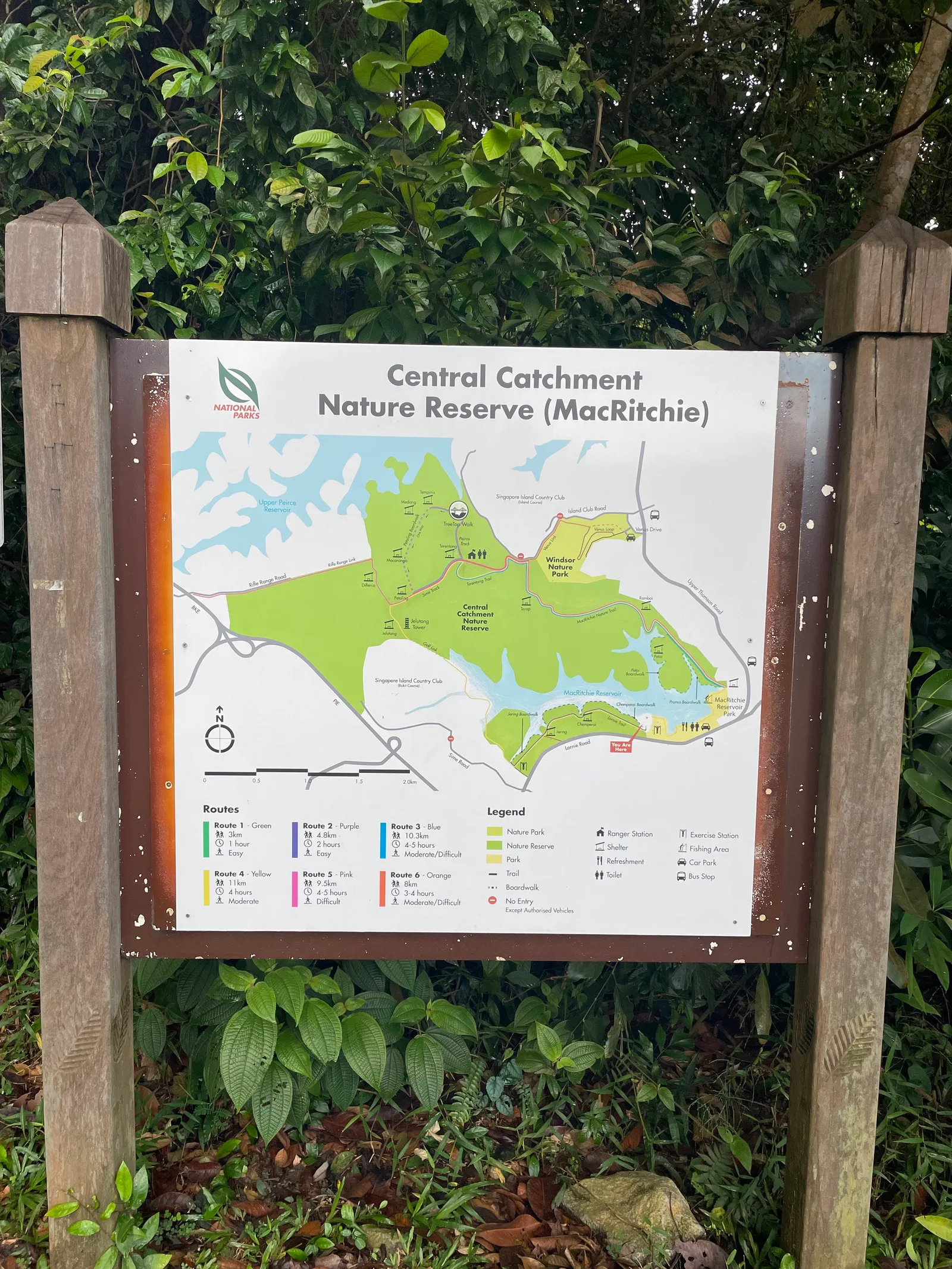 Interior at MacRitchie Reservoir Park Singapore — travel photo