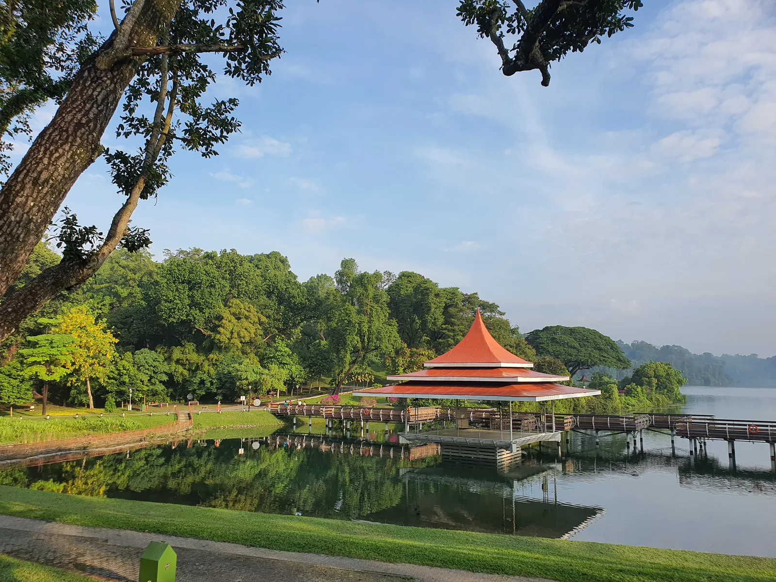 MacRitchie Reservoir Park
