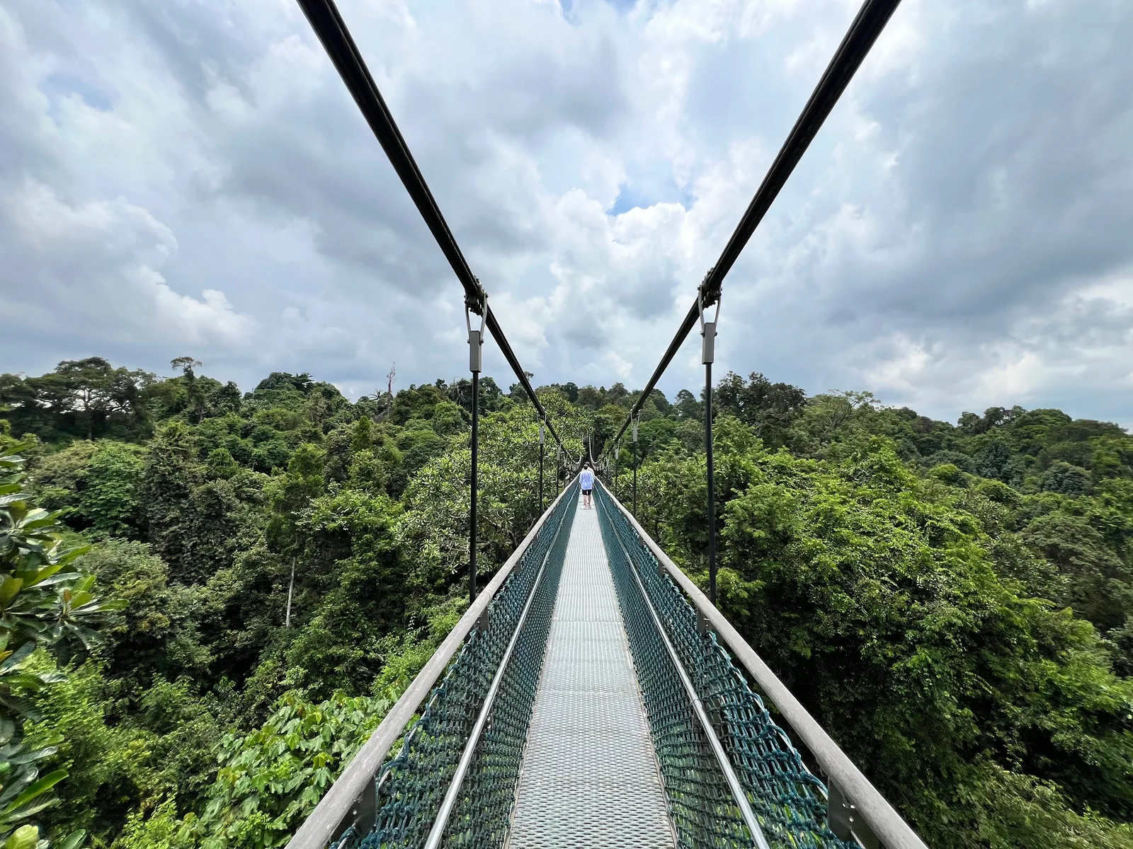 Macritchie Treetop Walk Trailhead — hidden gems guide Singapore