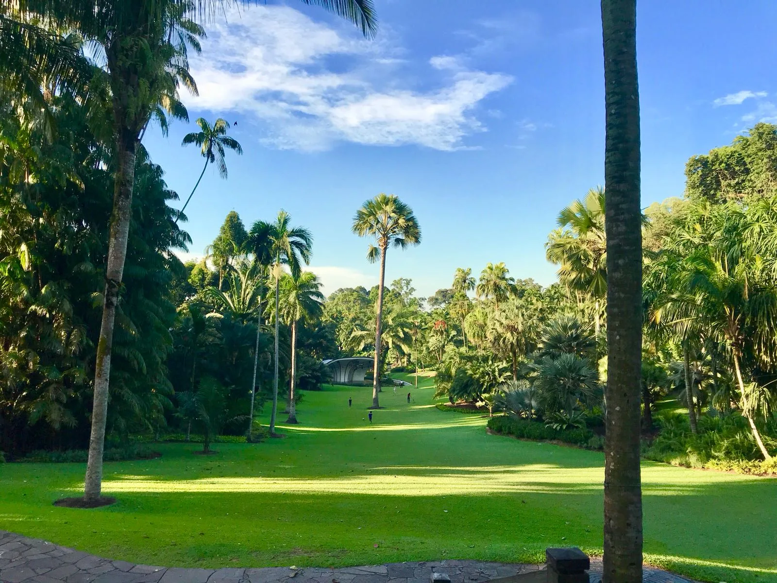 Interior at National Parks Board Singapore — travel photo