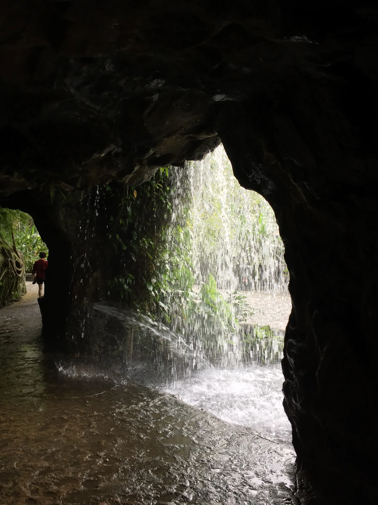 Details at National Parks Board Singapore — travel photo