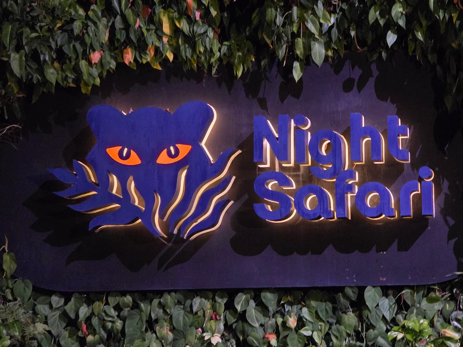 Details at Night Safari Singapore — travel photo
