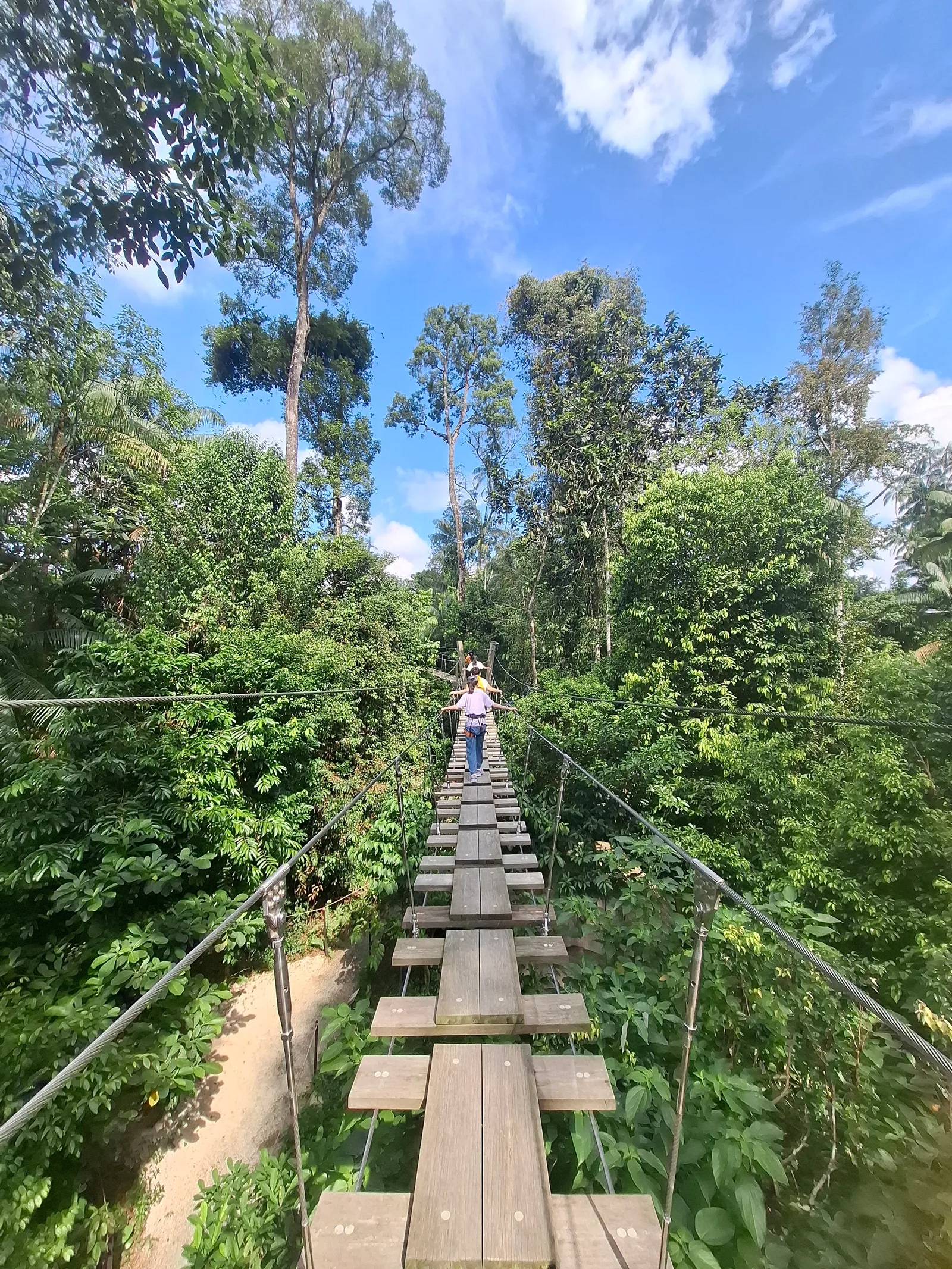 Main view at Rainforest Wild Adventure WEST Singapore — travel photo