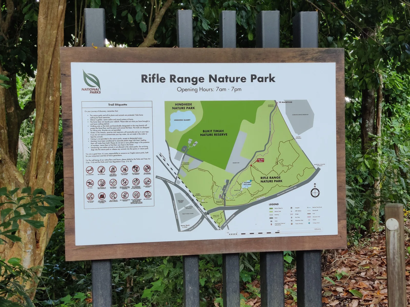 Interior at Rifle Range Nature Park Singapore — travel photo