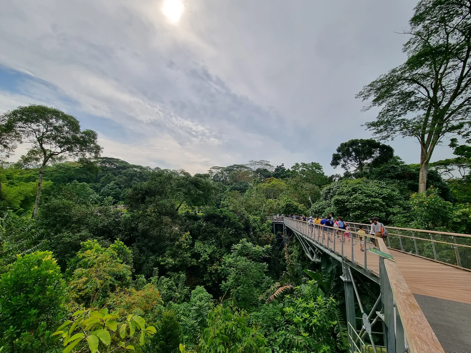 Details at Rifle Range Nature Park Singapore — travel photo