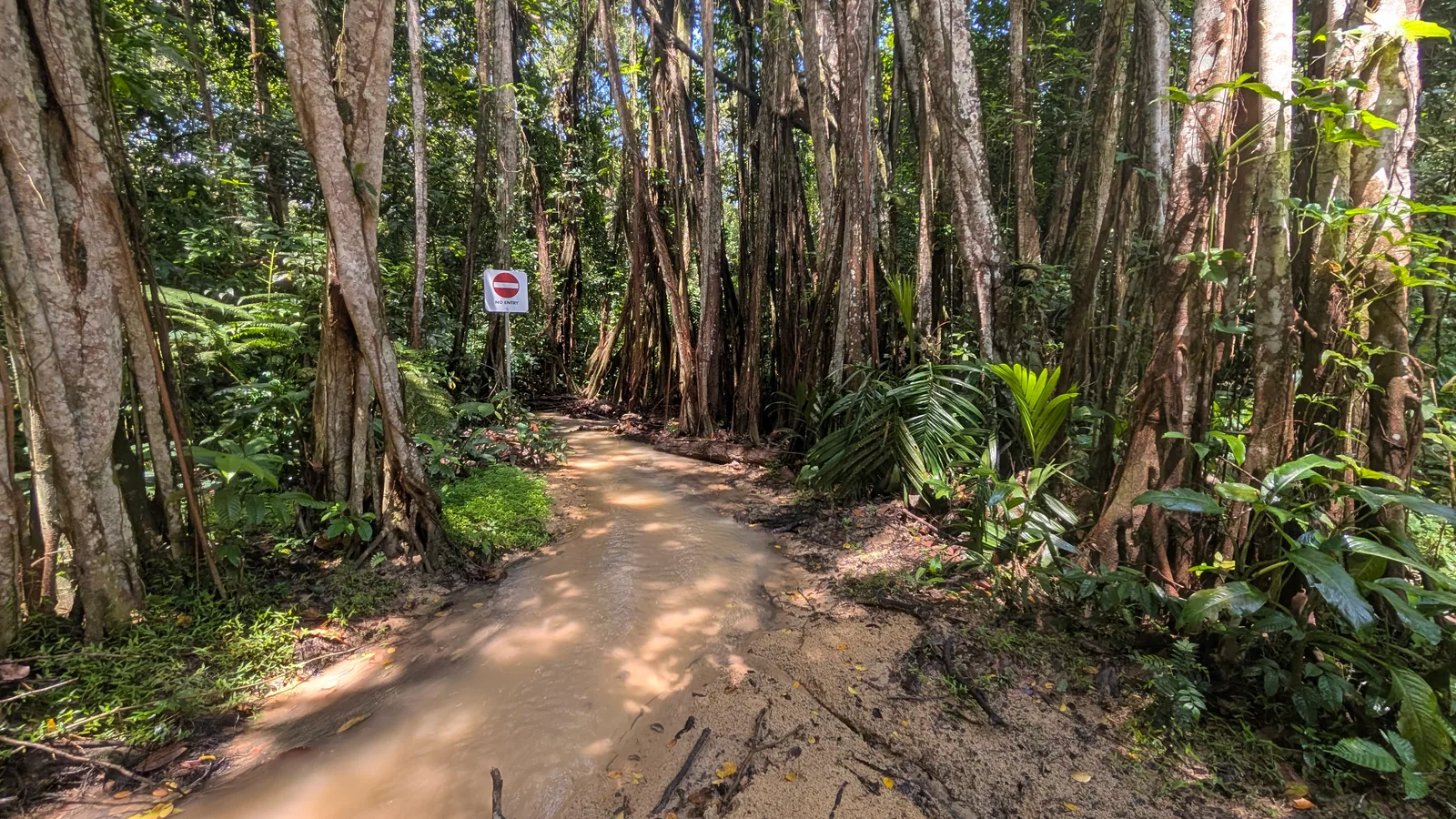 Rifle Range Nature Park β romantic guide Singapore