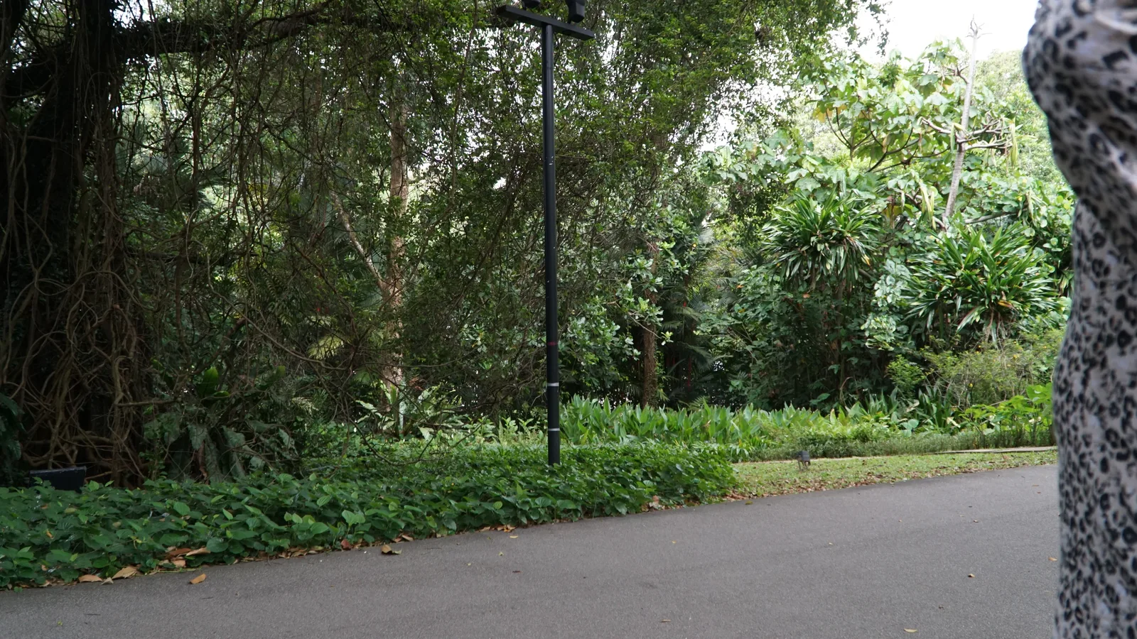 Main view at SBG Heritage Museum Singapore — travel photo