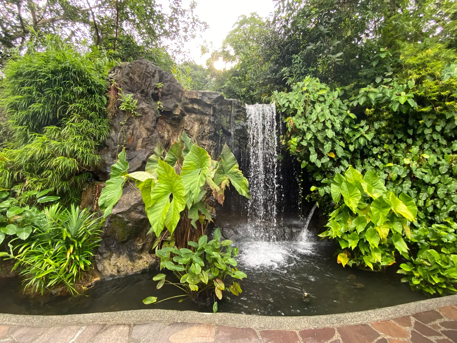 Details at Singapore Botanic Gardens Singapore — travel photo