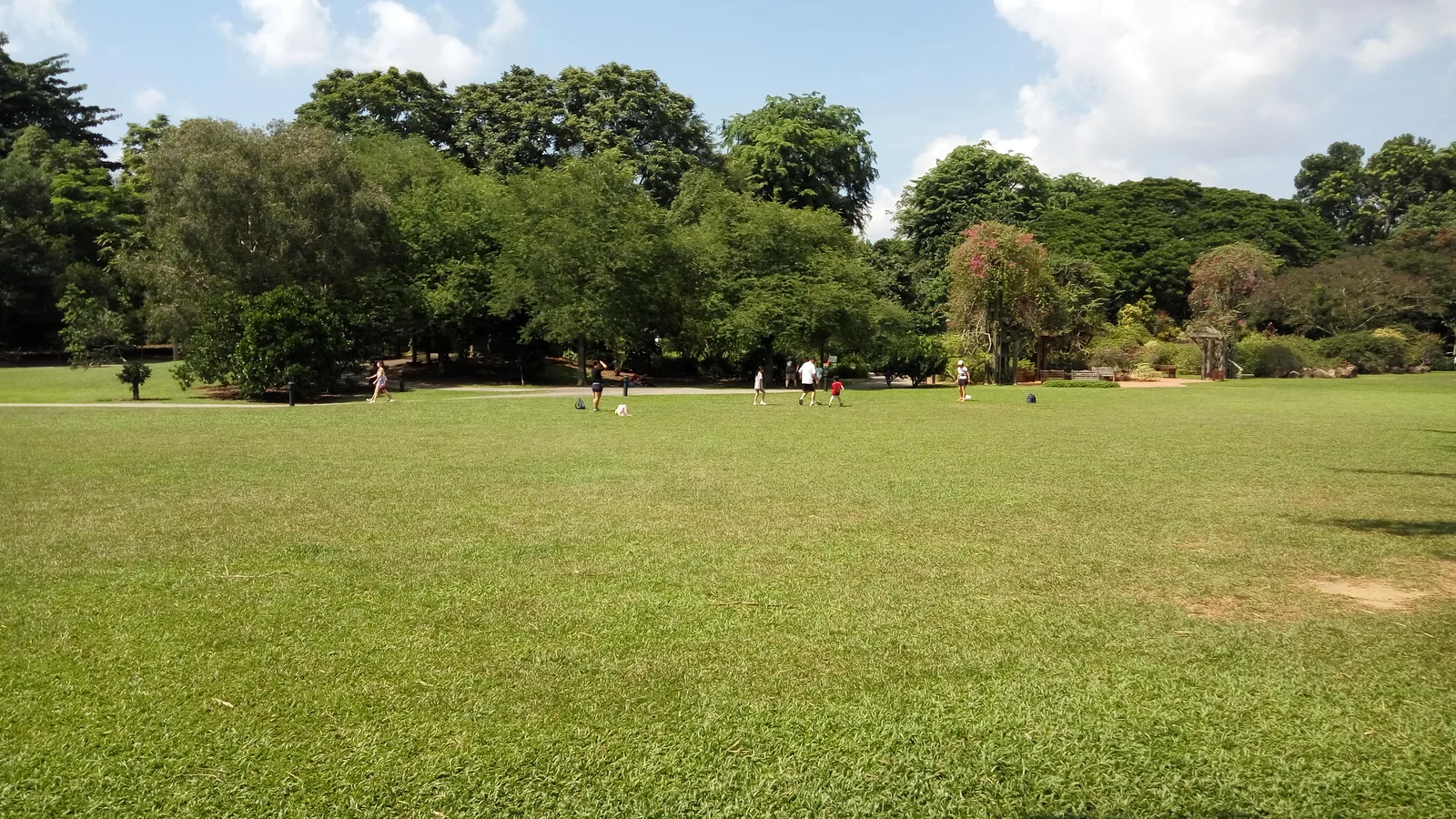 Atmosphere at Singapore Botanic Gardens Singapore — travel photo