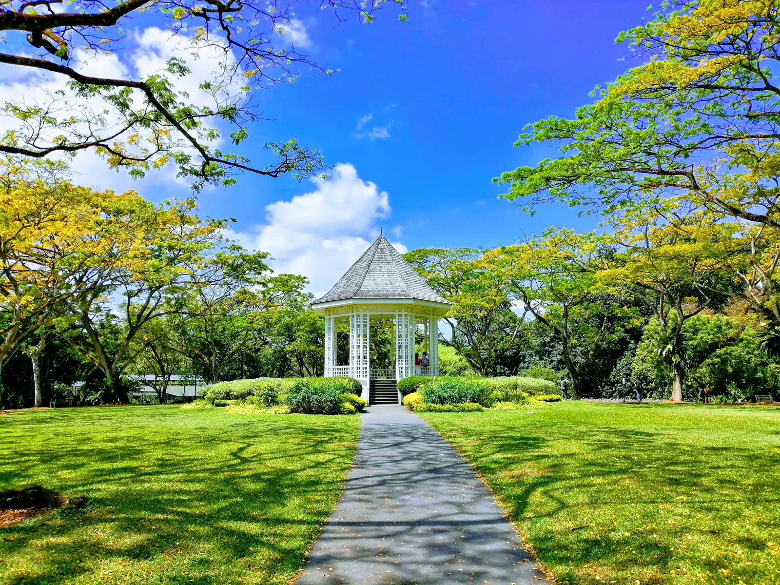 Singapore Botanic Gardens
