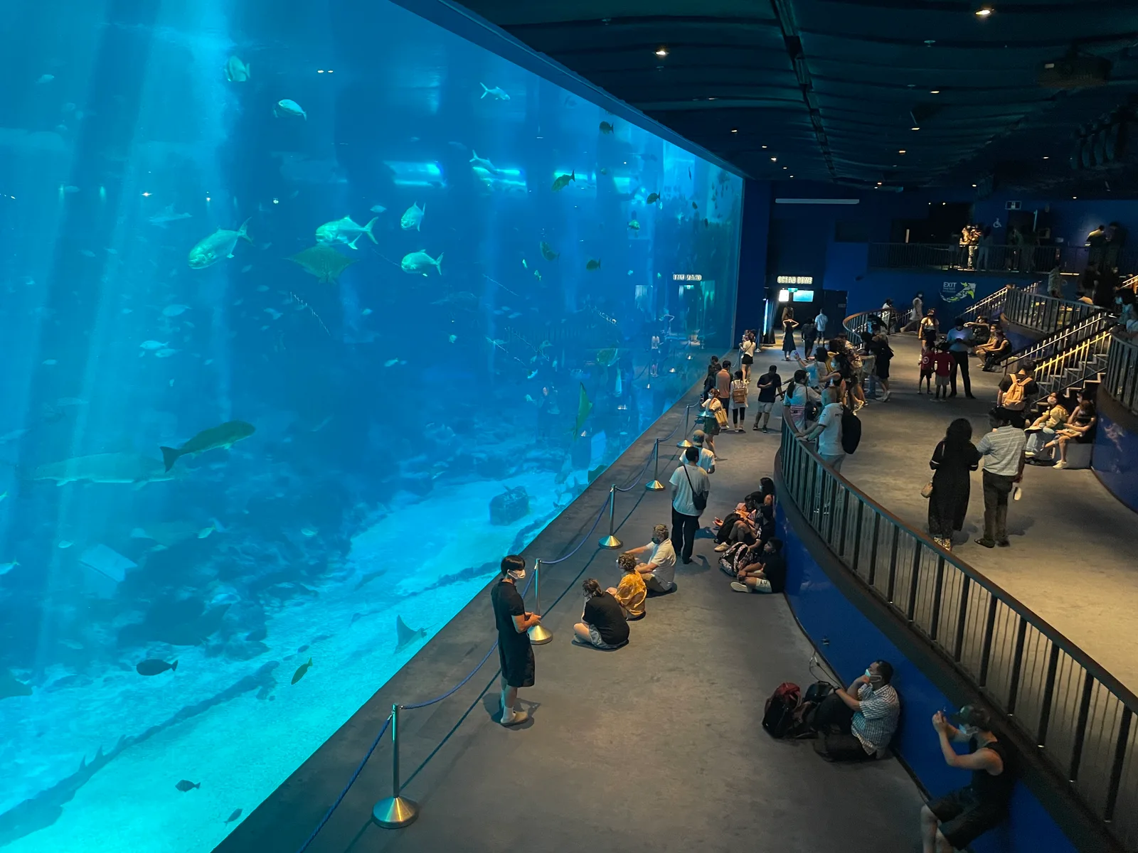 Singapore Oceanarium — family guide Singapore