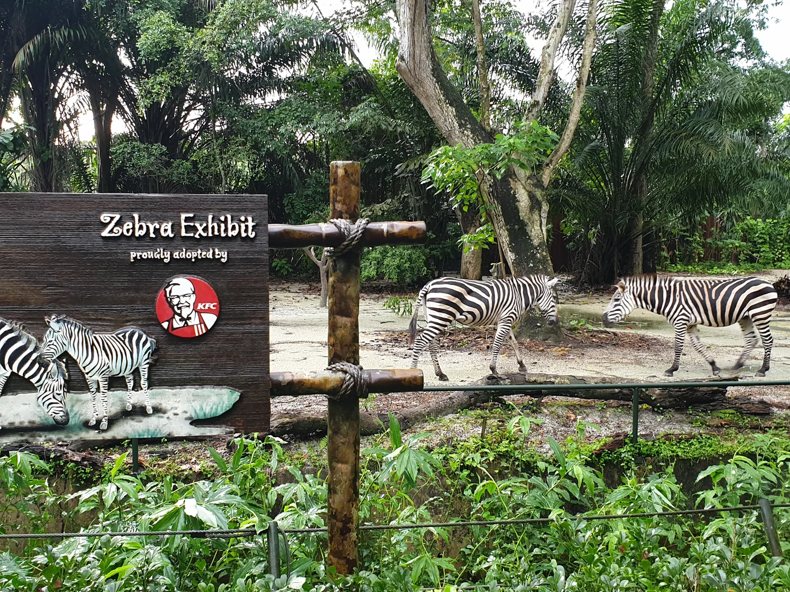 Main view at Singapore Zoo Singapore — travel photo