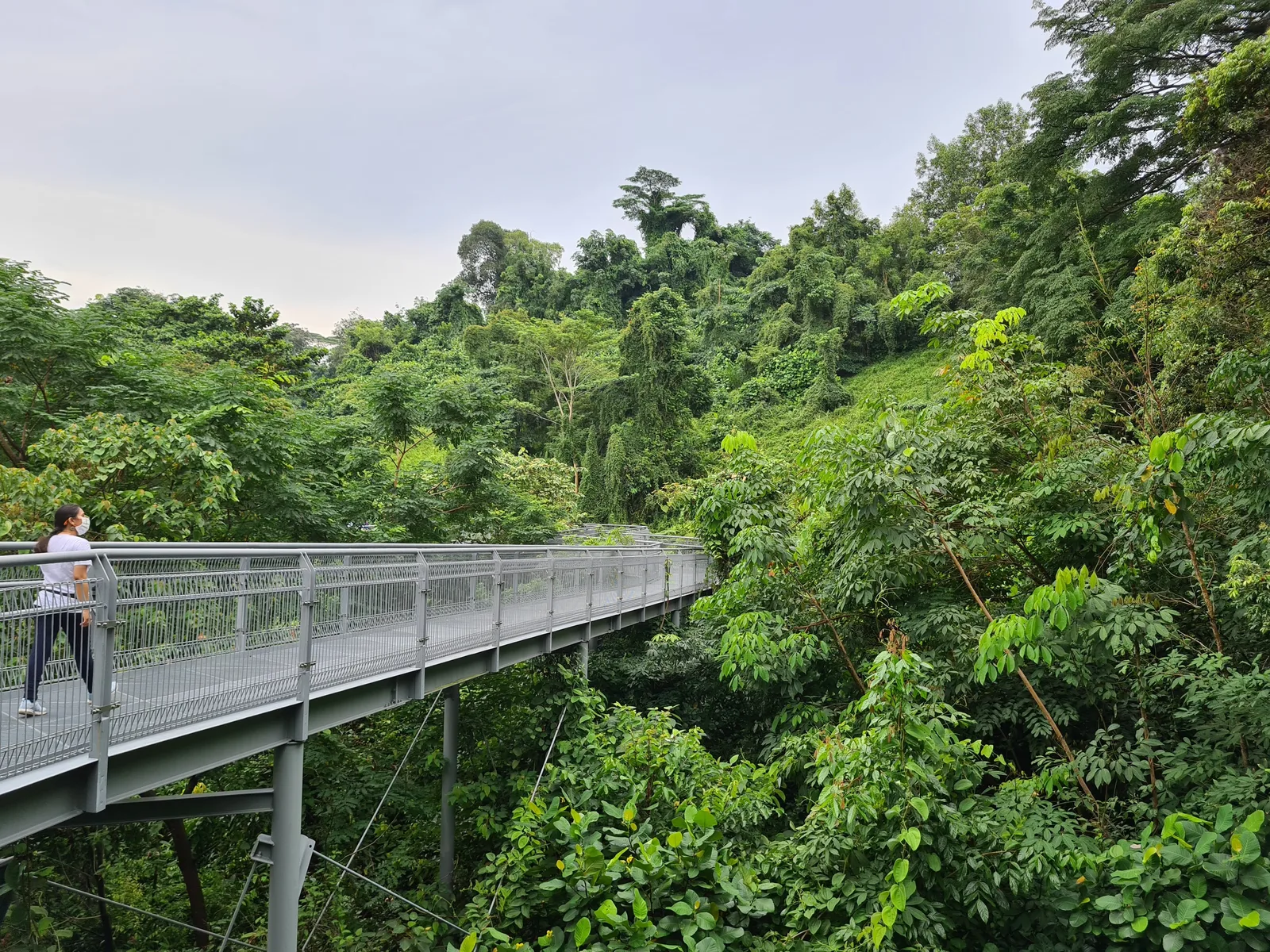 Southern Ridges — romantic guide Singapore