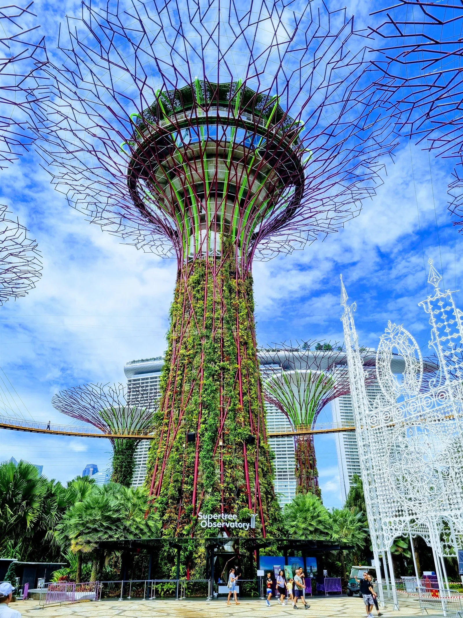 Supertree Grove — budget guide Singapore