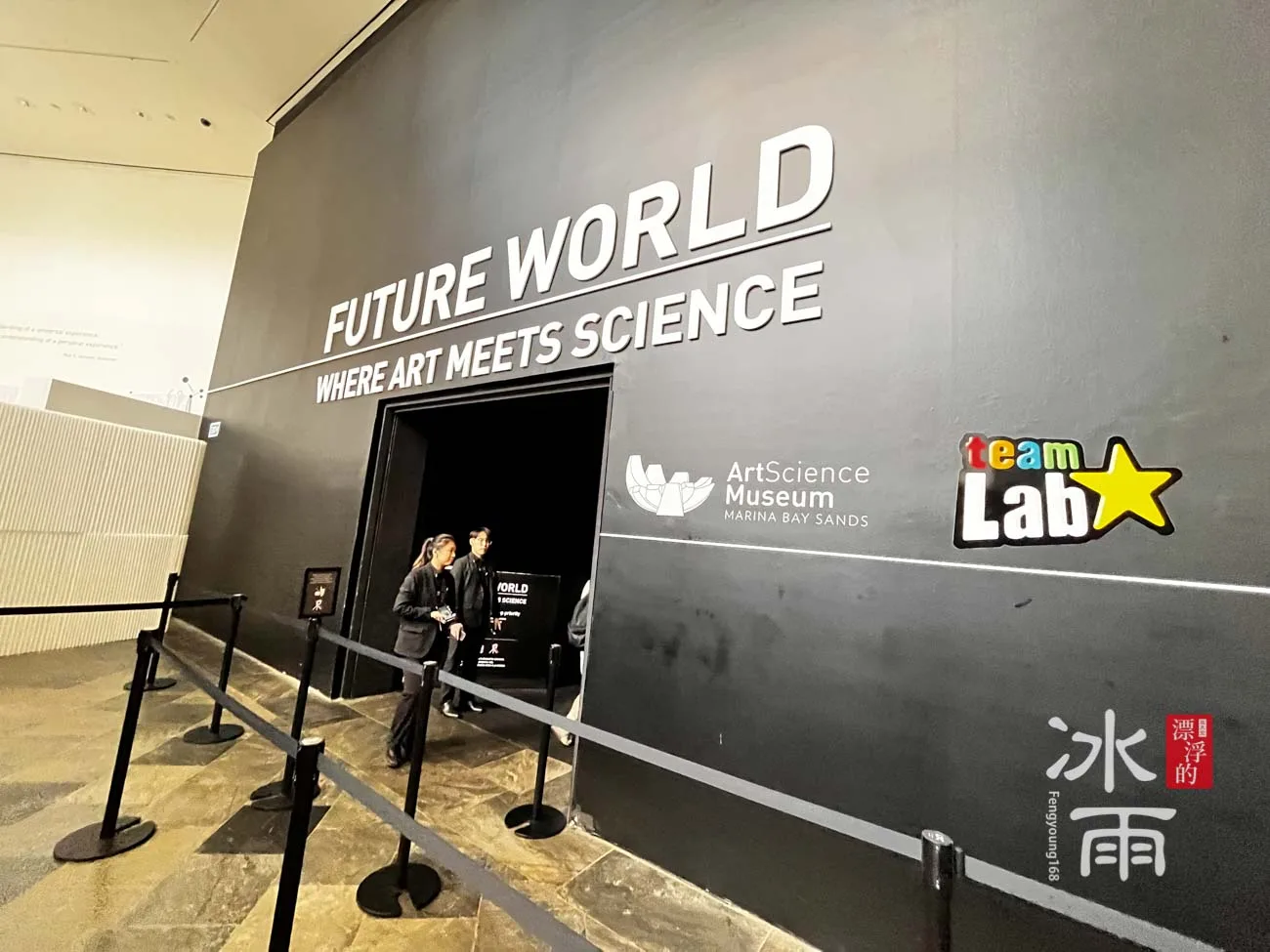 Atmosphere at teamLab Future World Singapore — travel photo