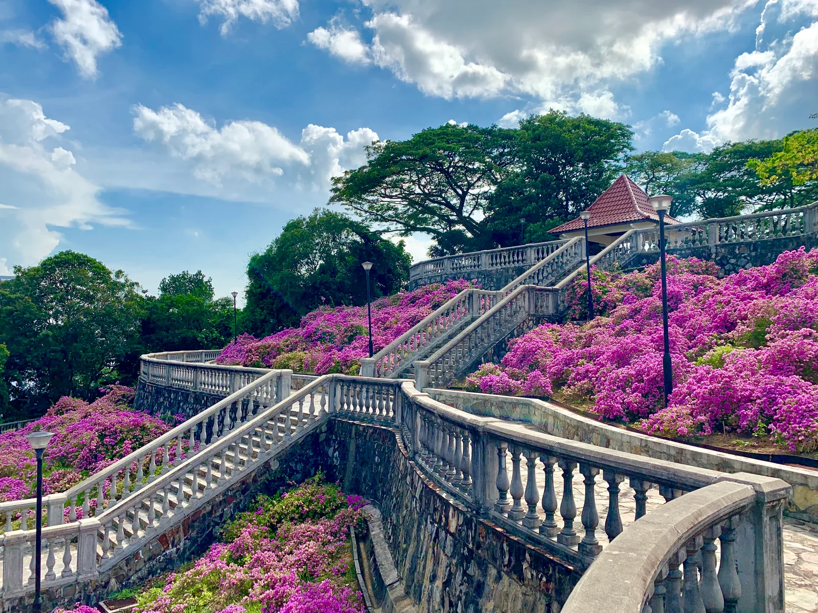 Telok Blangah Hill Park β budget guide Singapore