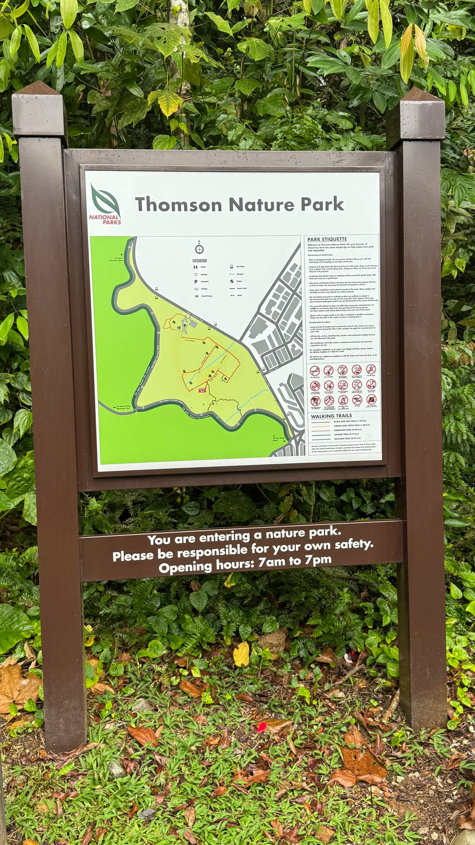 Atmosphere at Thomson Nature Park Singapore — travel photo