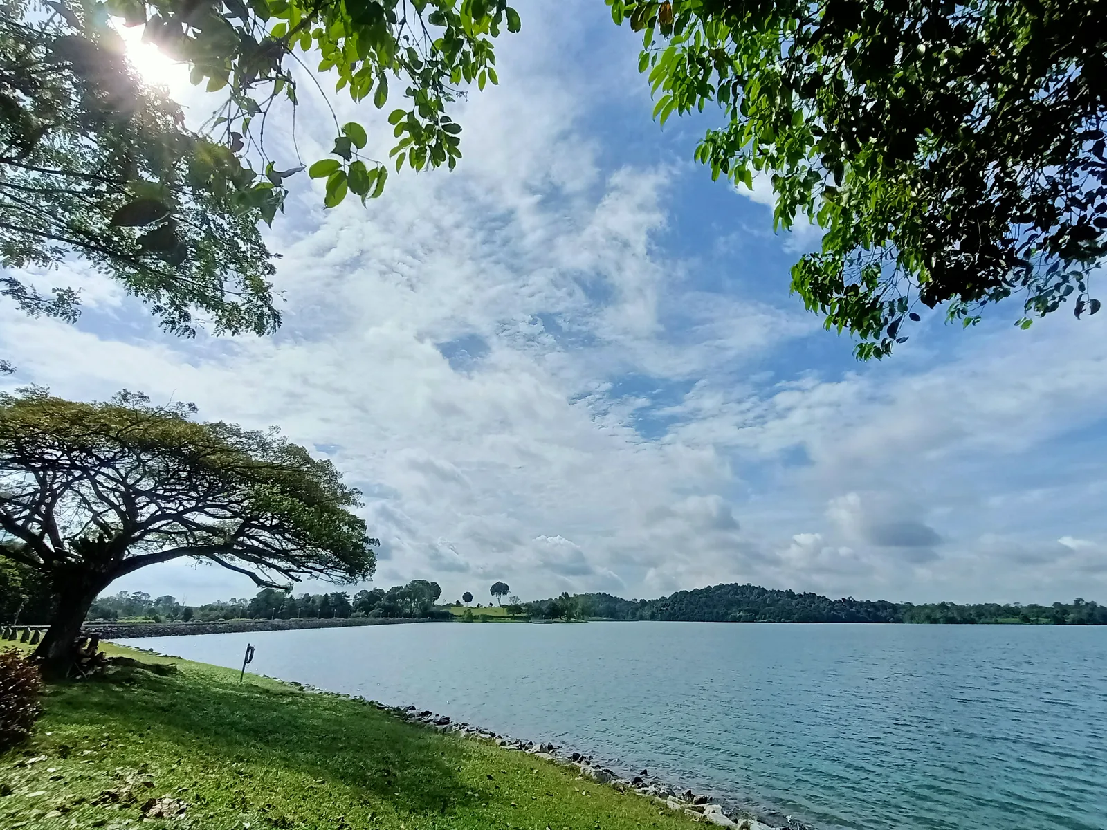 Upper Peirce Reservoir Park