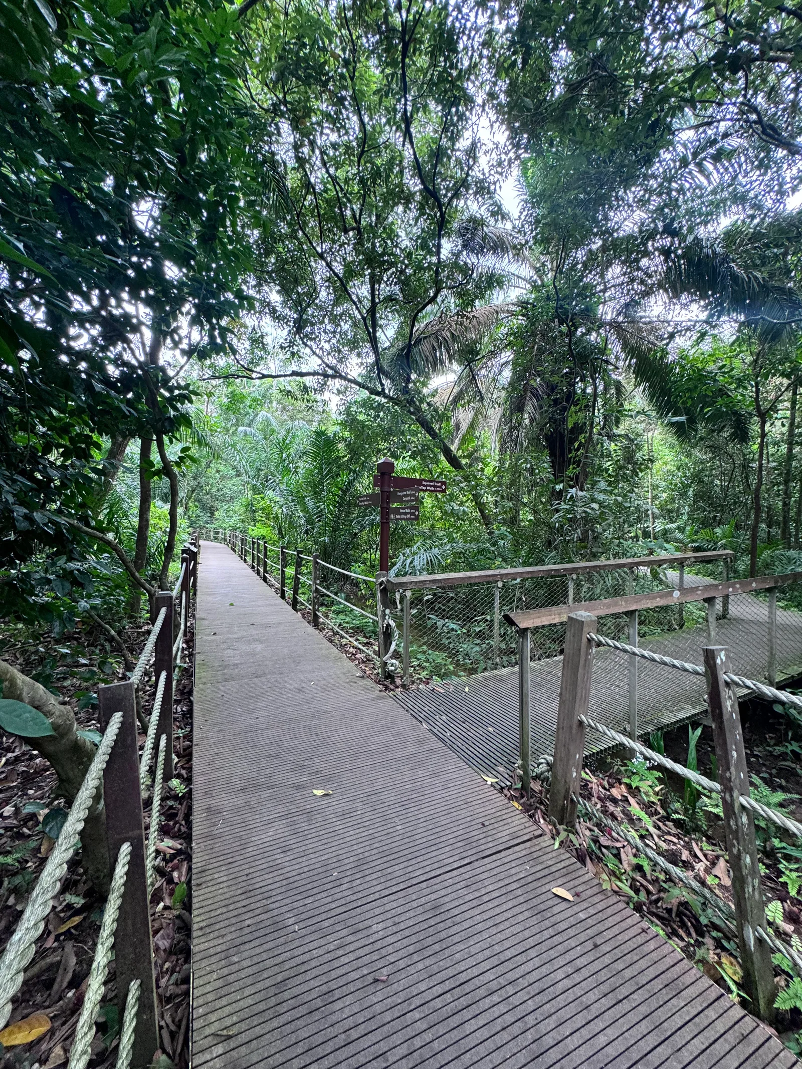Main view at Windsor Nature Park Singapore — travel photo