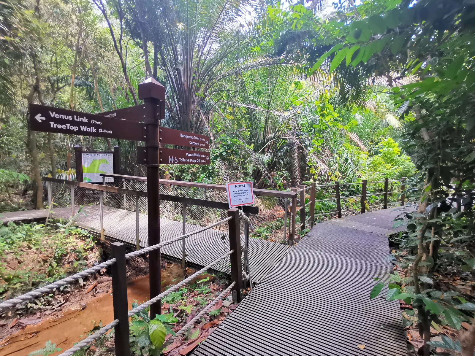 Interior at Windsor Nature Park Singapore — travel photo