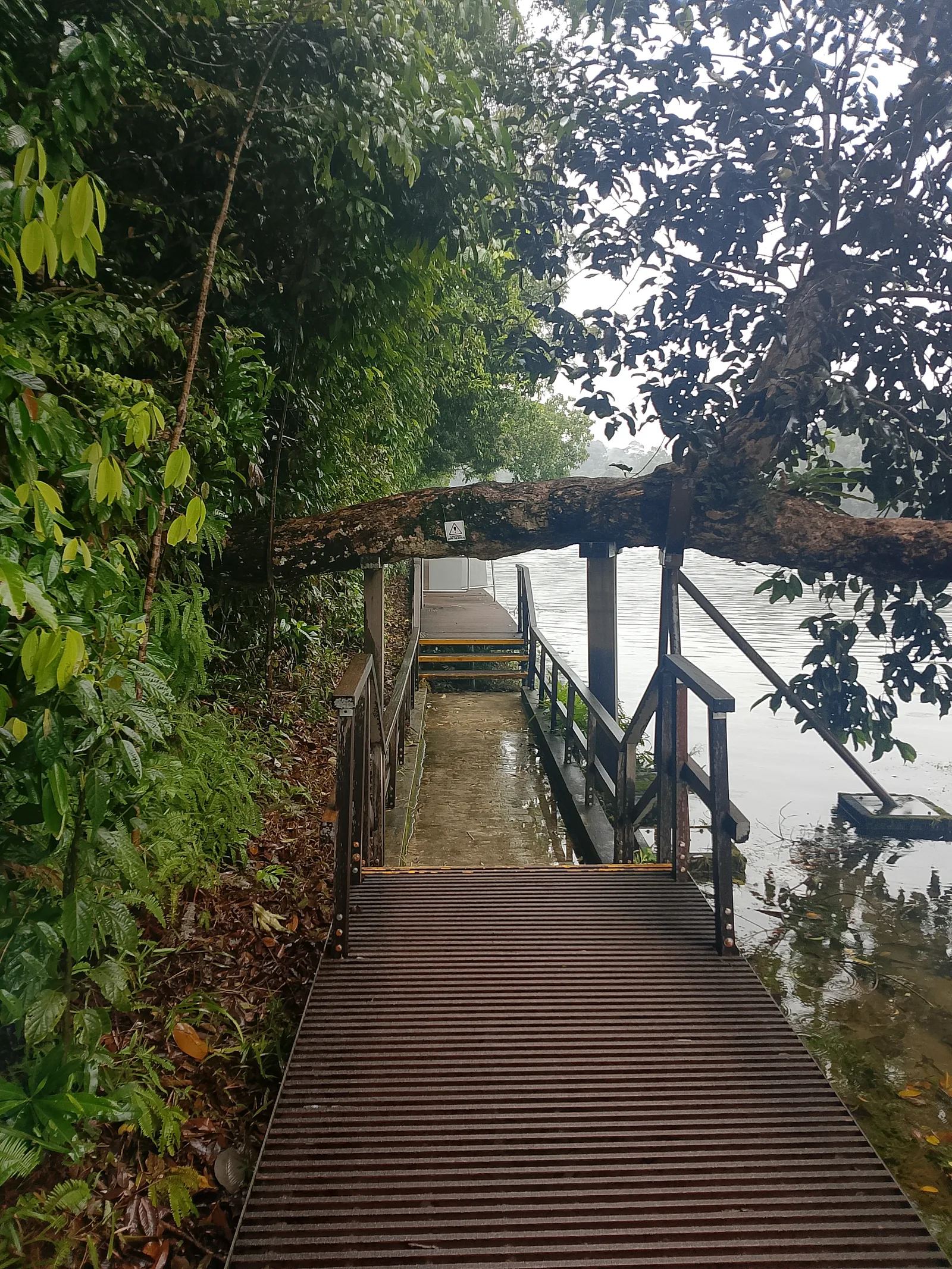 Details at Windsor Nature Park Singapore — travel photo