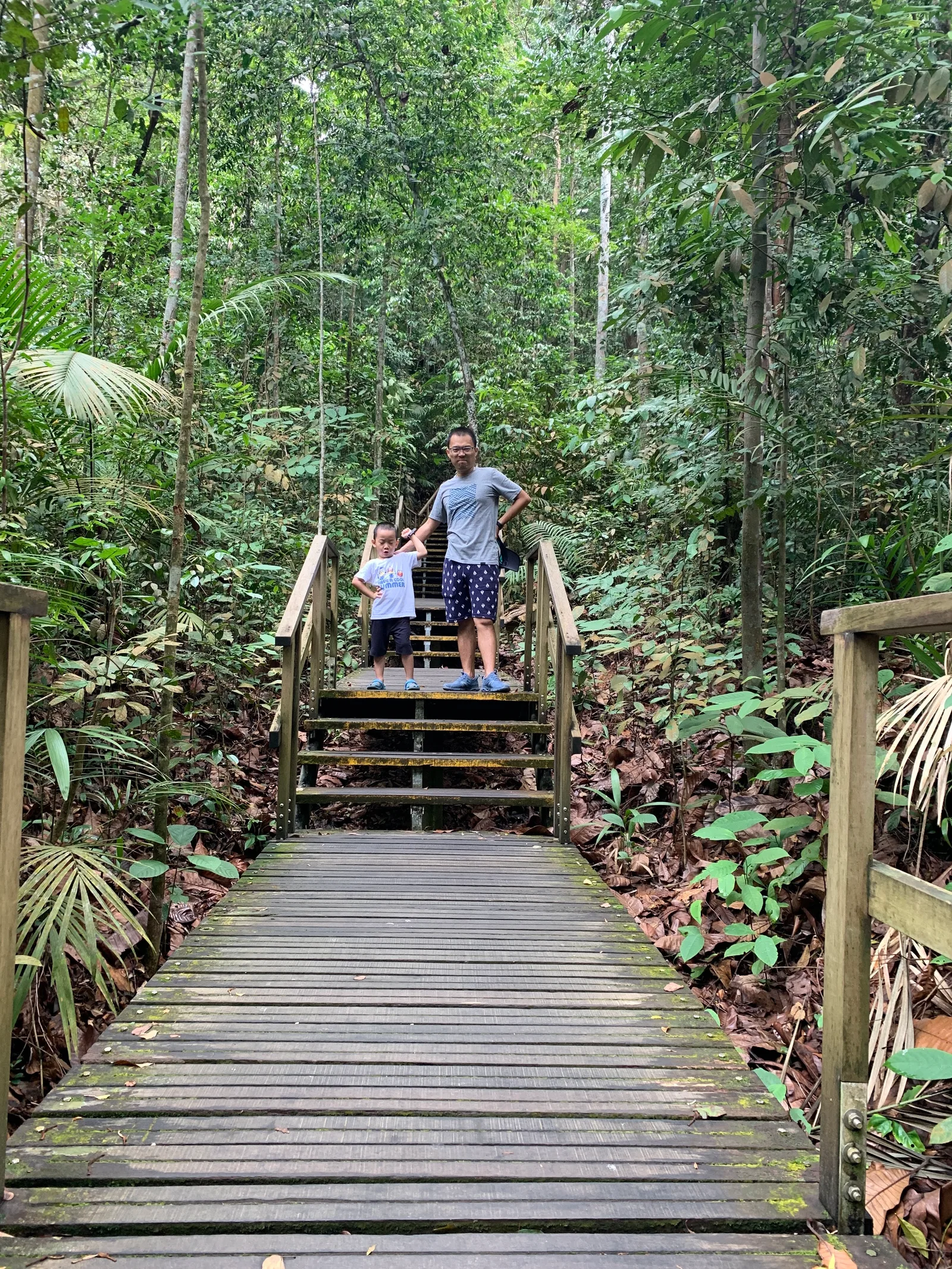 Atmosphere at Windsor Nature Park Singapore — travel photo