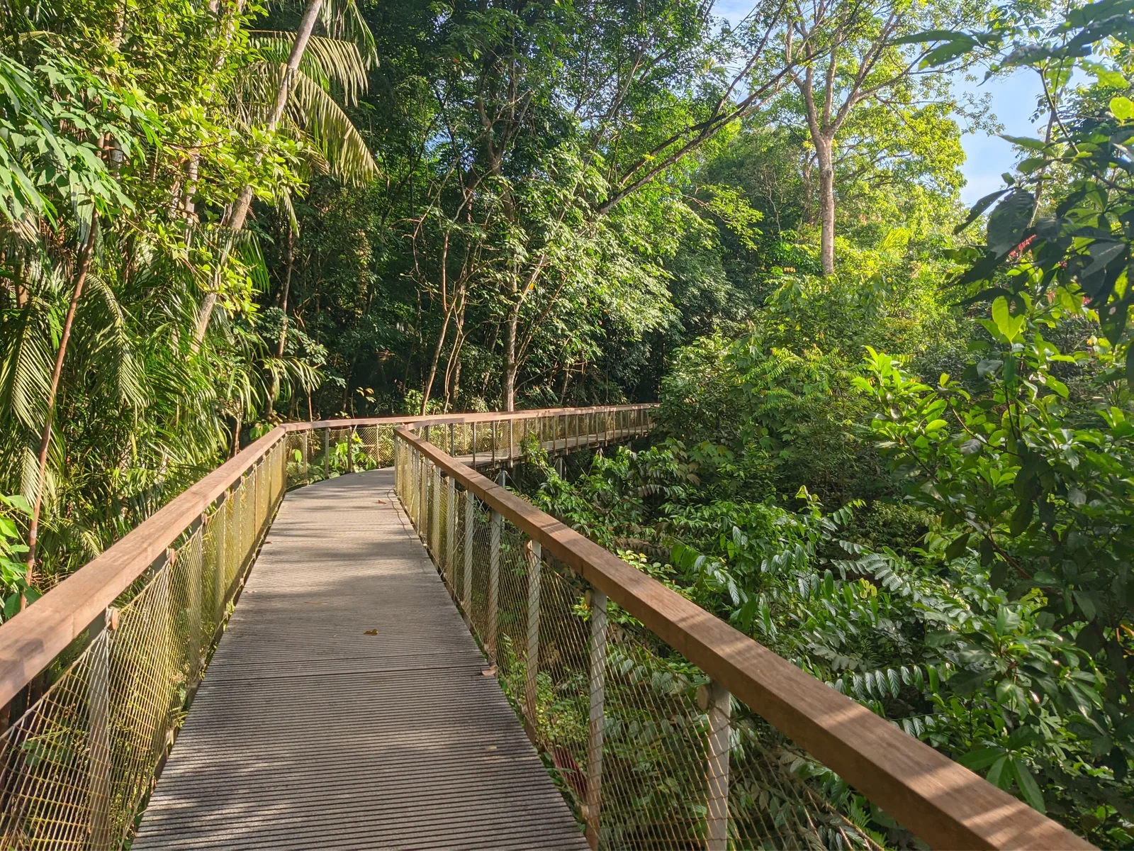 Windsor Nature Park β romantic guide Singapore