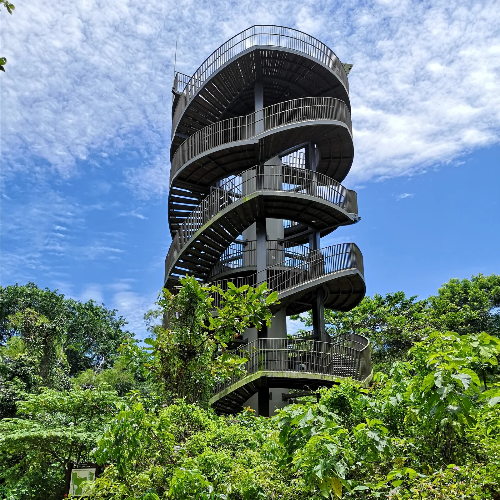Interior at Chestnut Nature Park Singapore — travel photo