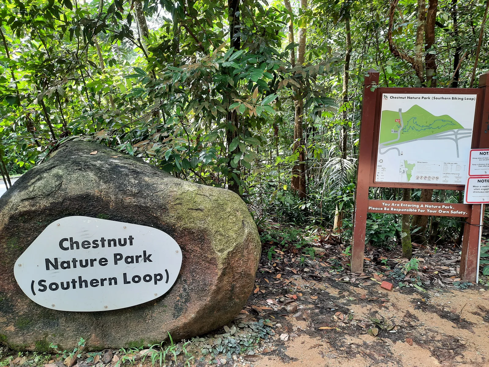Details at Chestnut Nature Park Singapore — travel photo