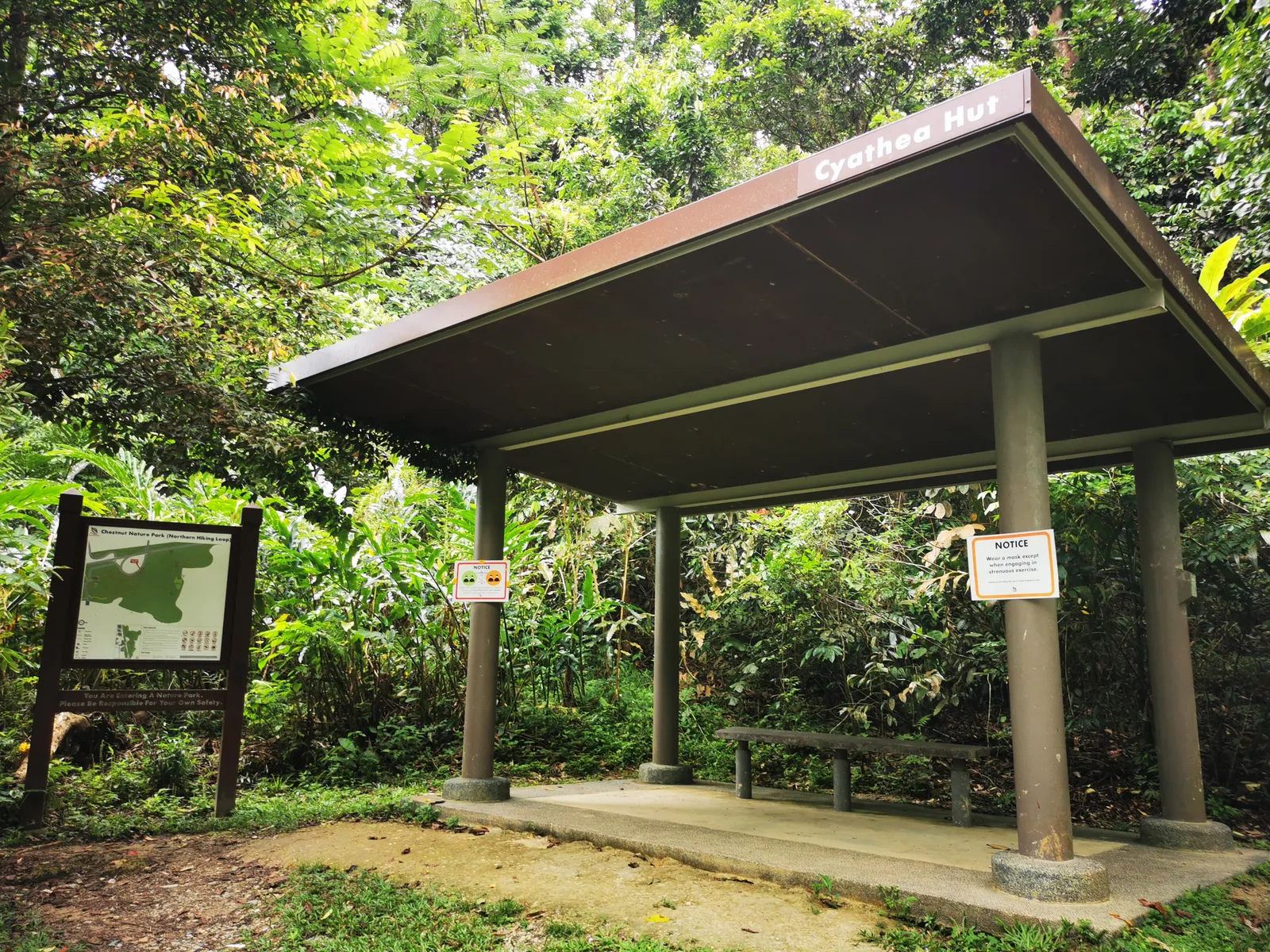 Around the area at Chestnut Nature Park Singapore — travel photo
