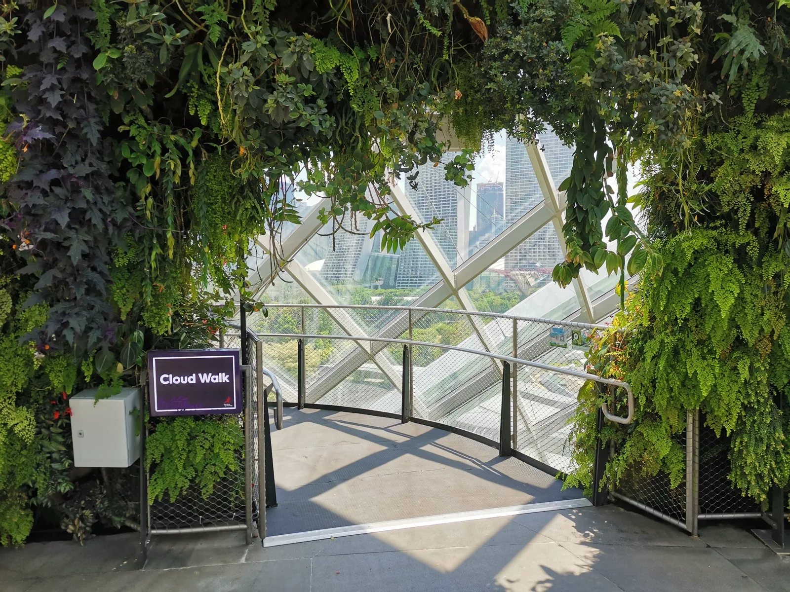Details at Cloud Forest Singapore — travel photo