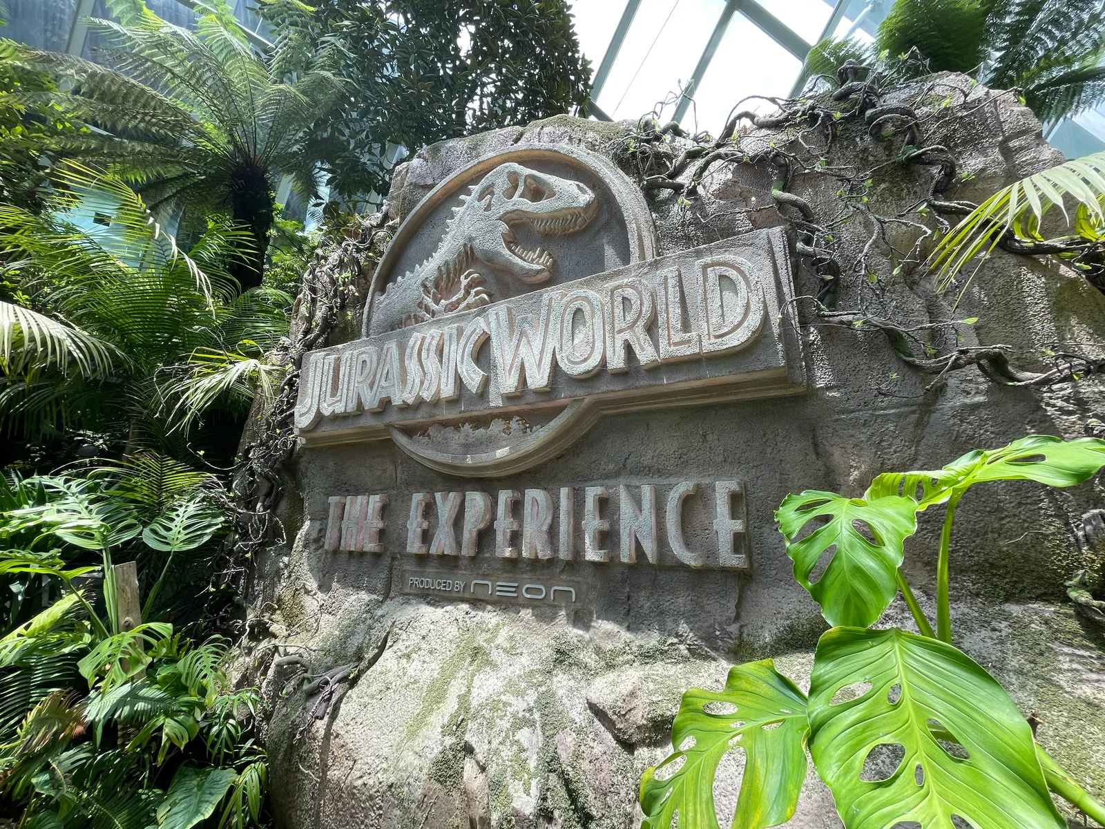 Around the area at Cloud Forest Singapore — travel photo