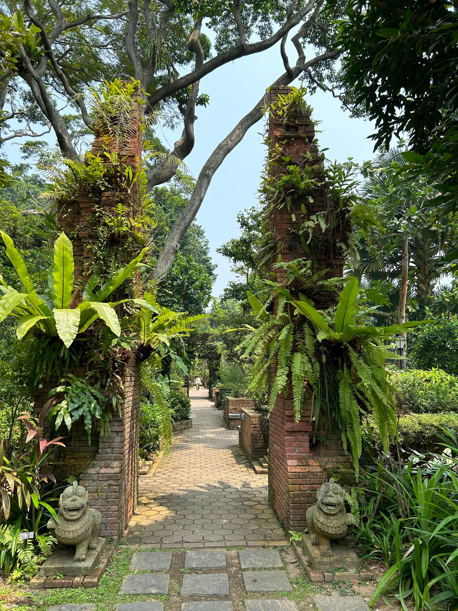 Details at Fort Canning Tree Tunnel Singapore — travel photo