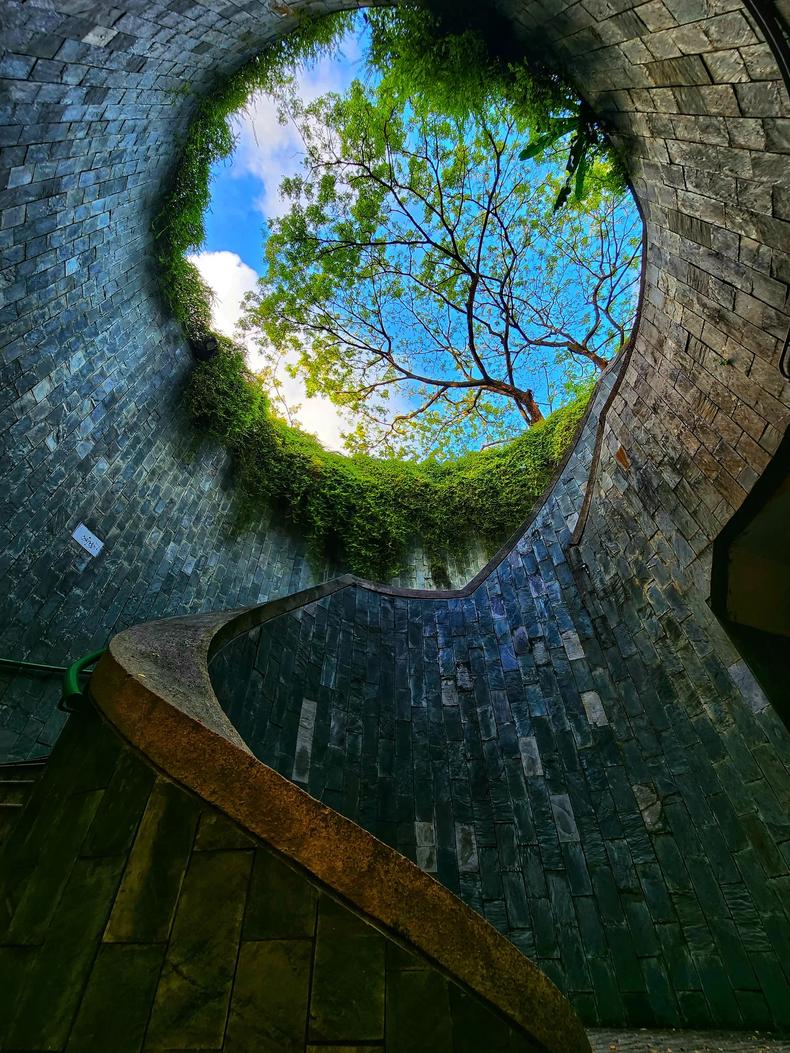 Fort Canning Tree Tunnel