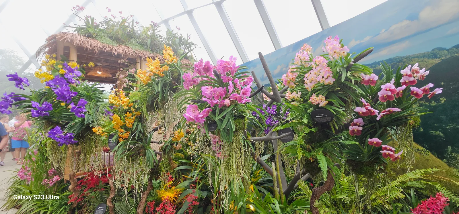 Interior at Gardens by the Bay Singapore — travel photo