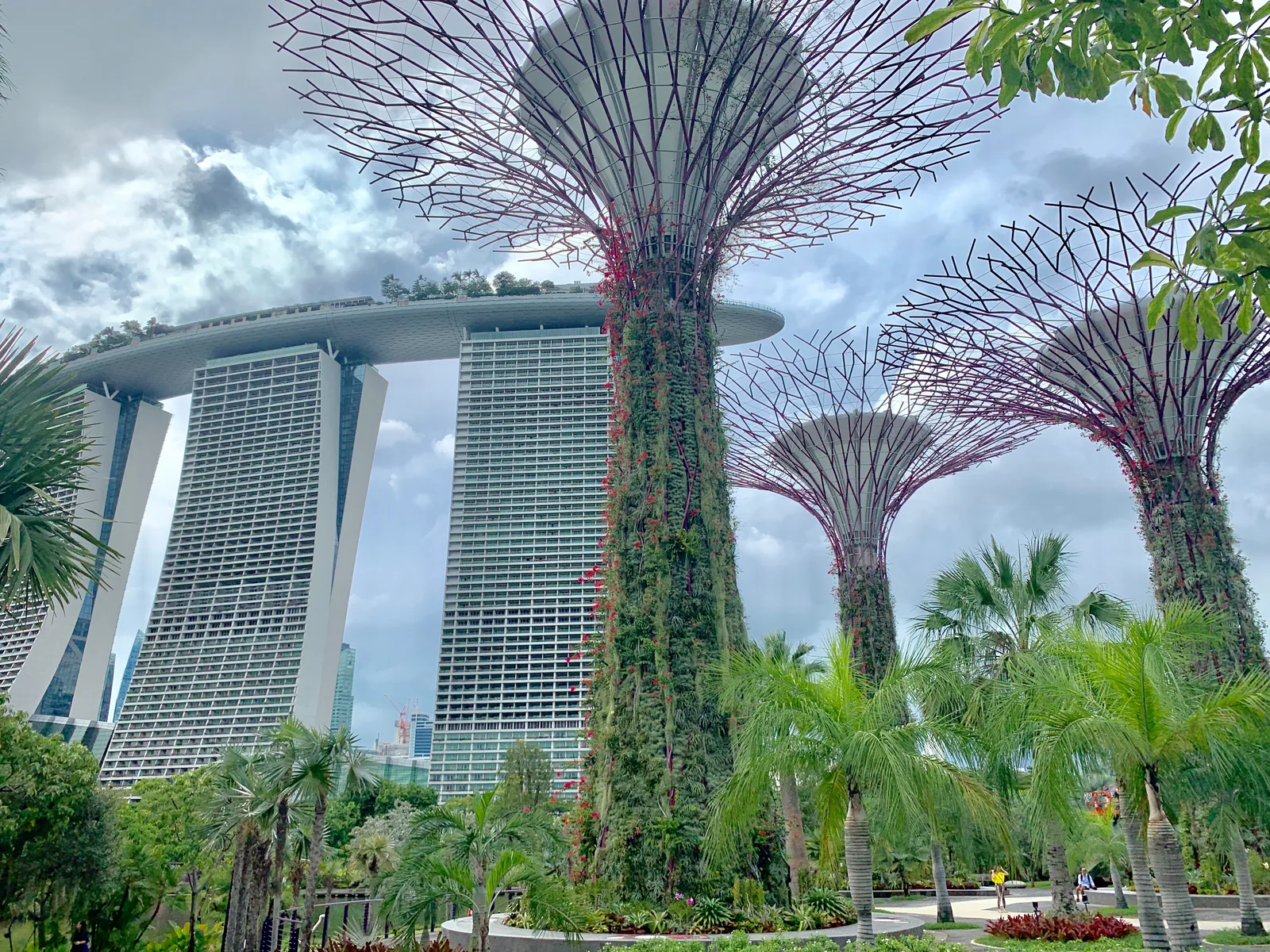 Atmosphere at Gardens by the Bay Singapore — travel photo